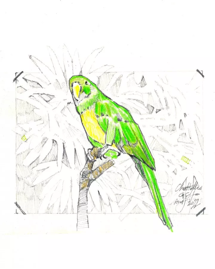 Dark blue canvas slippers with green embroideries