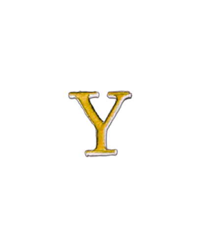 Y