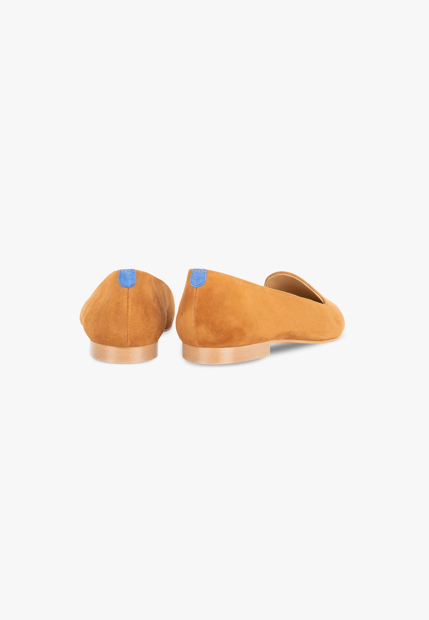 Isidore Camel