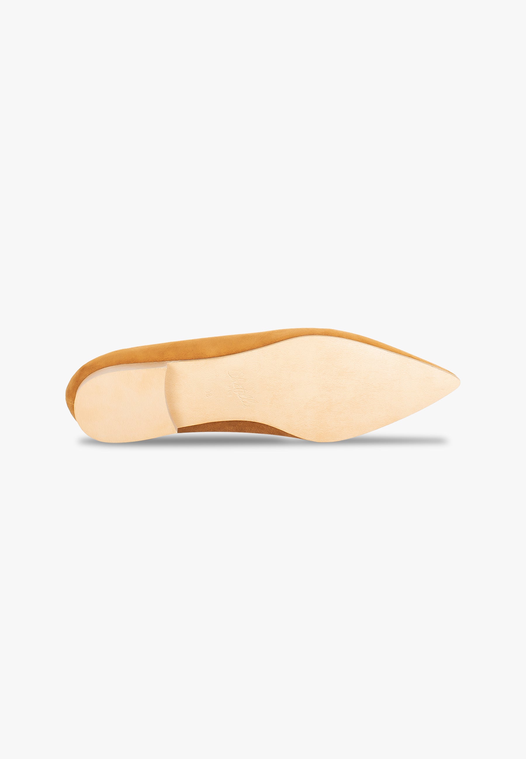 Isidore Camel