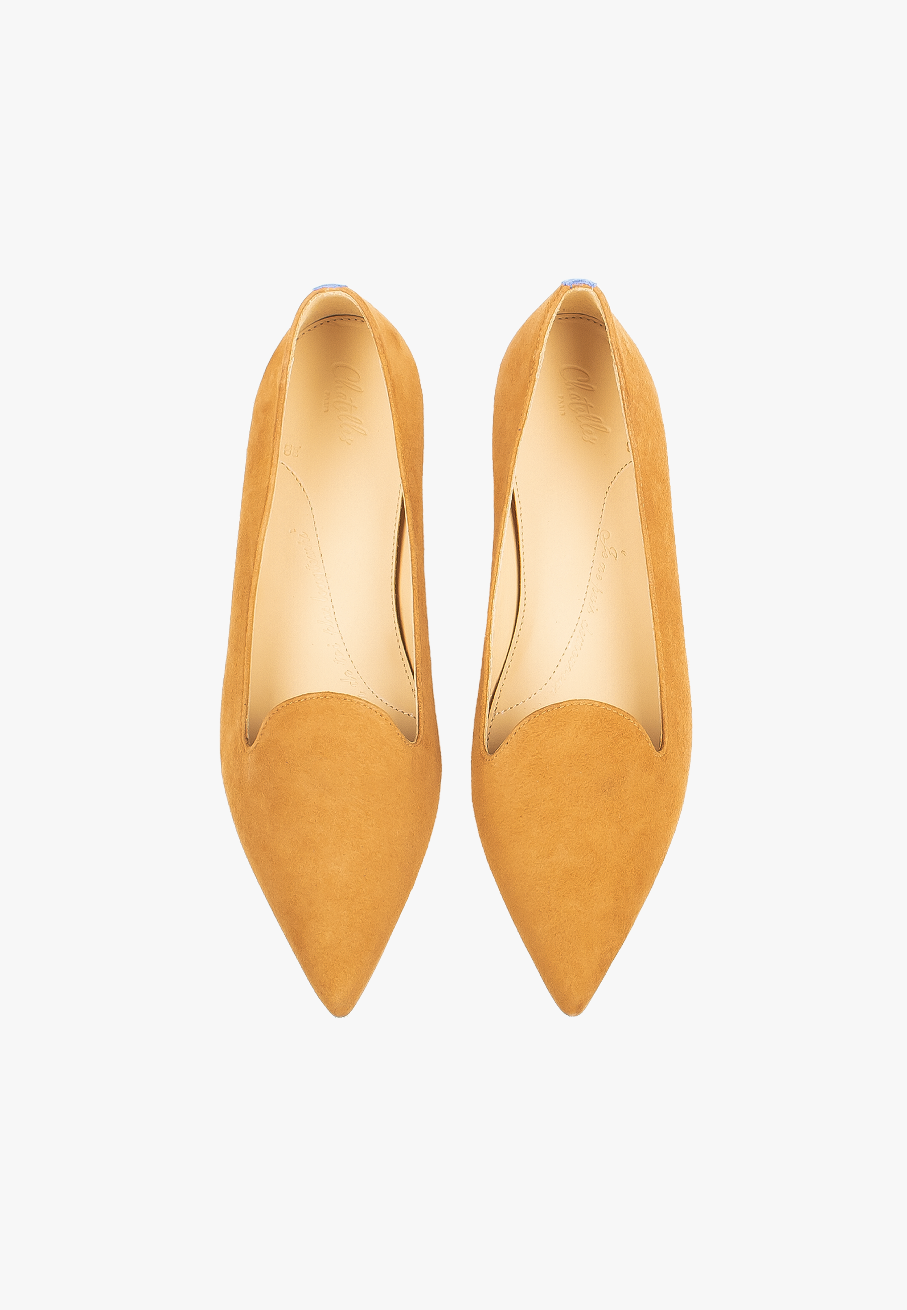 Isidore Camel