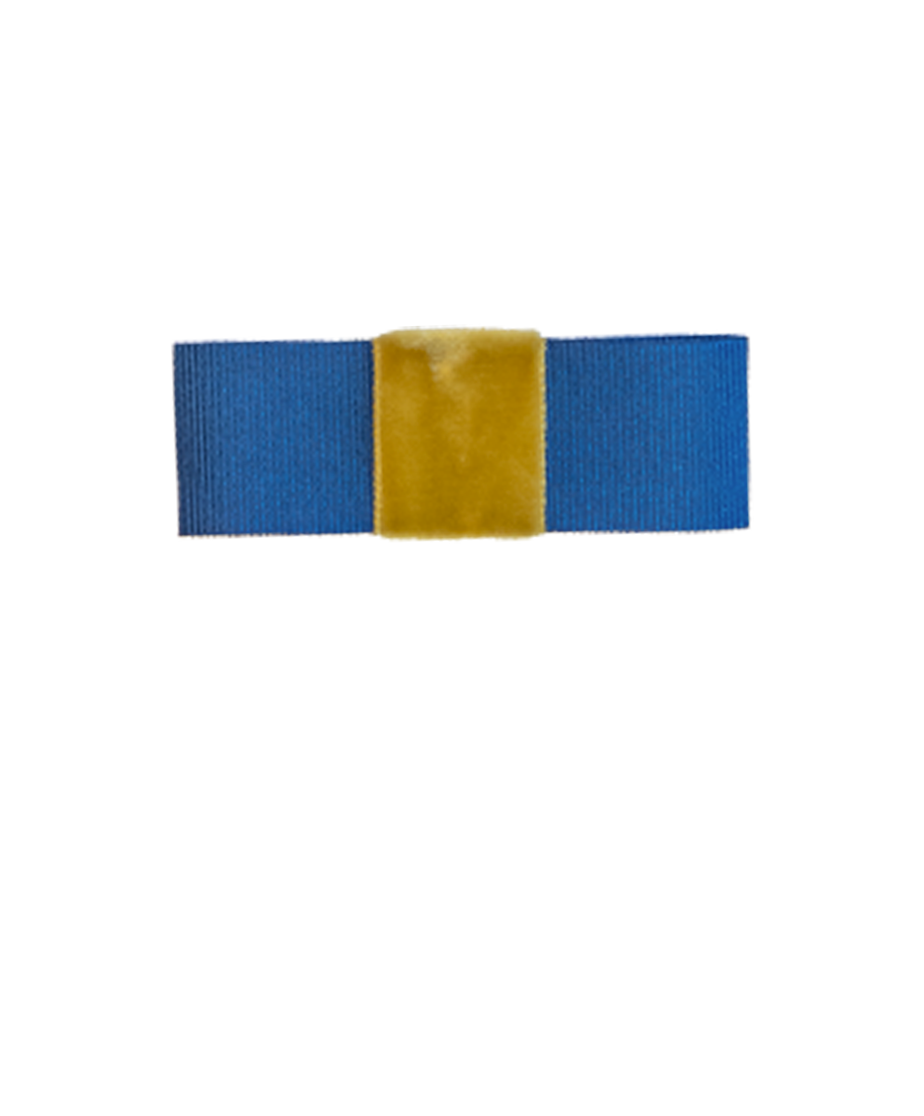 Mini Bow Blue